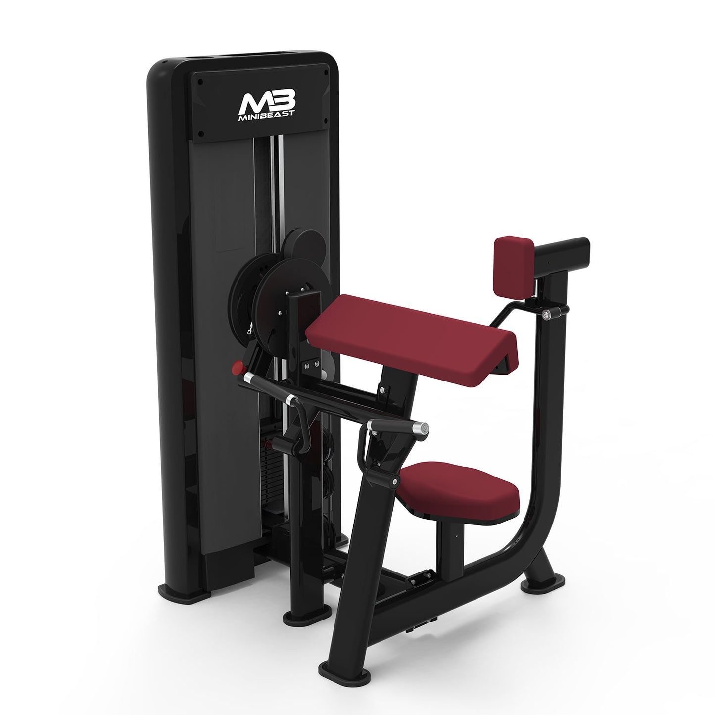 Bold Series - Biceps/Triceps