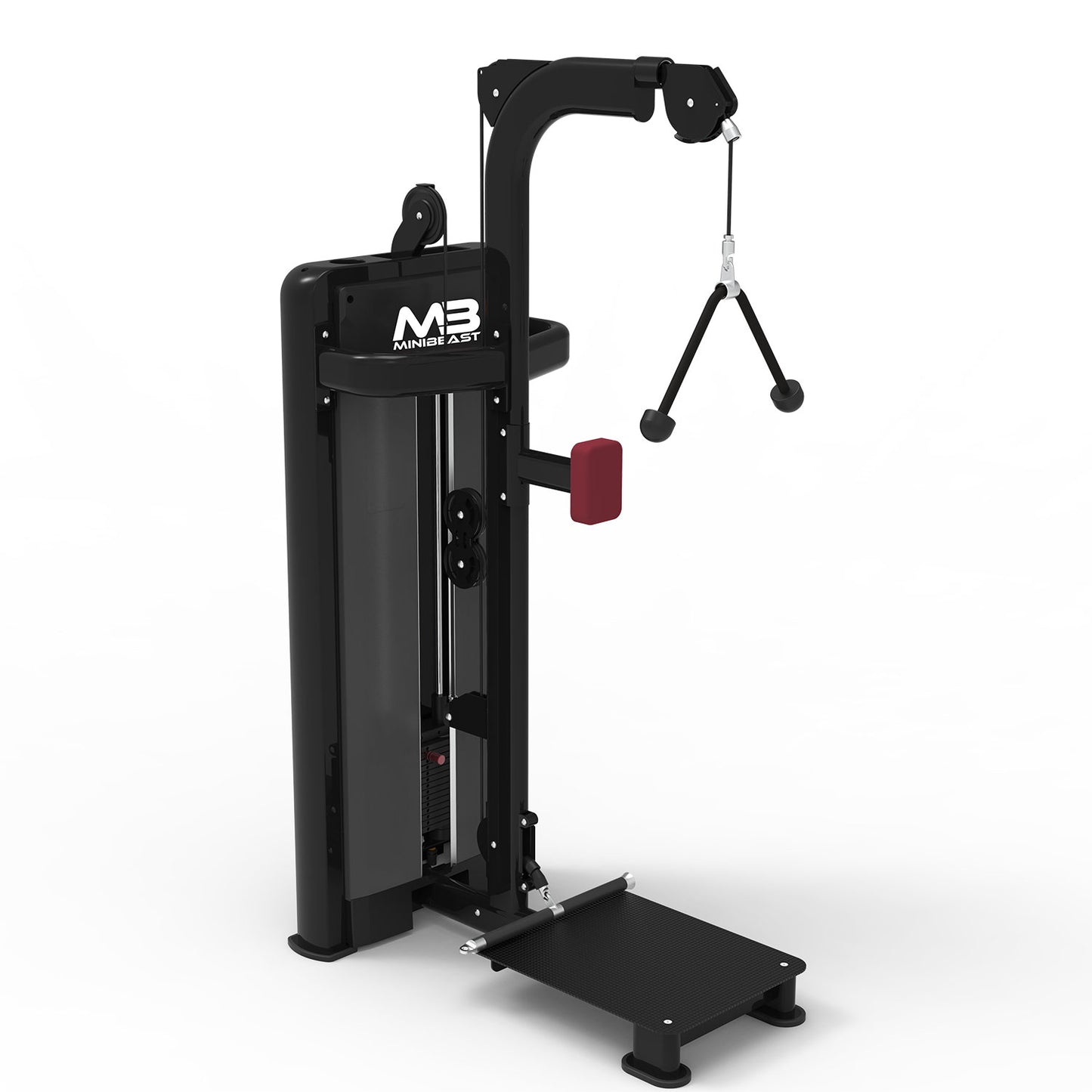 Bold Series - Standing Biceps/Triceps