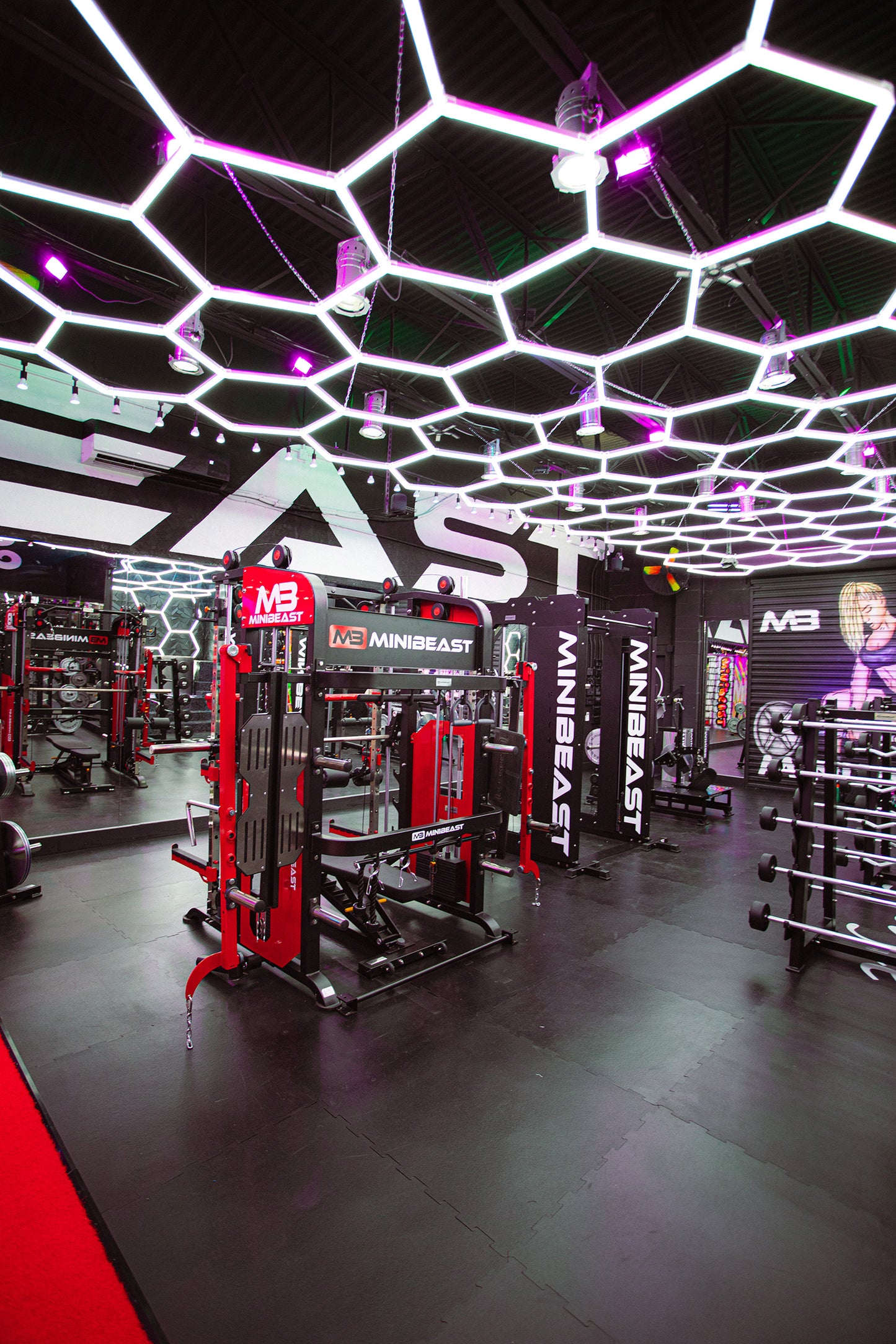 MB Ultimate ALL-IN-1 Total Home Gym