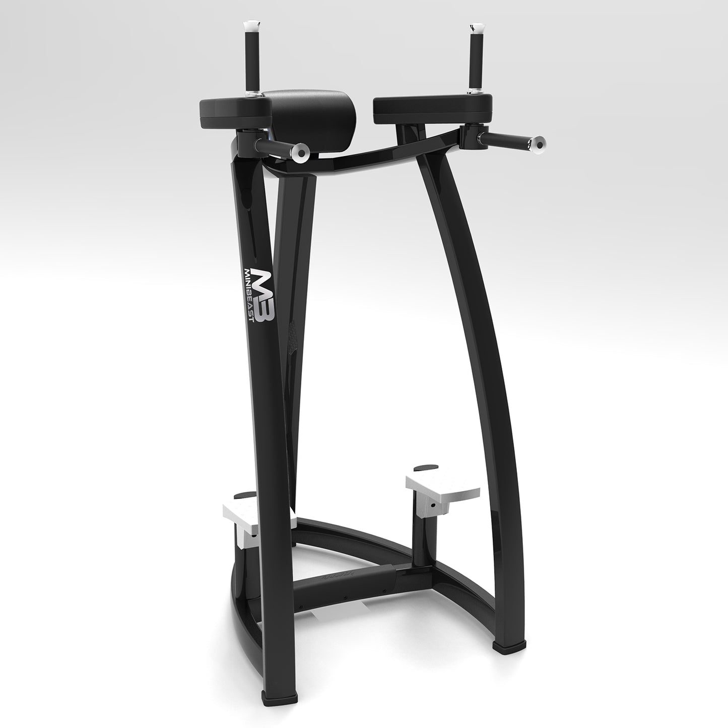 Forge Series - Dip Station