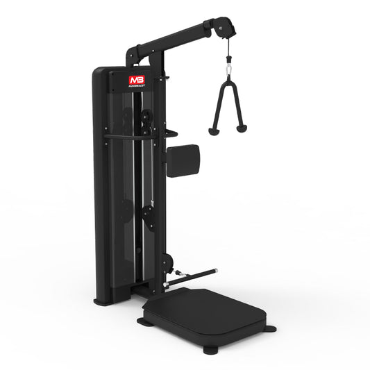 Bold Series - Standing Biceps/Triceps