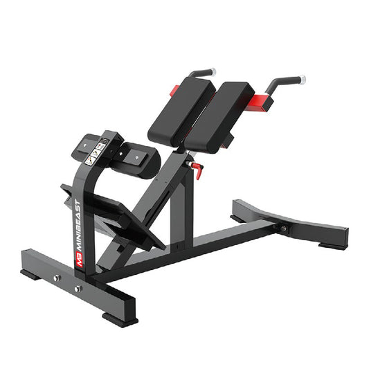 Flex Series - Back Extension