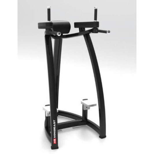 Forge Series - Dip Station