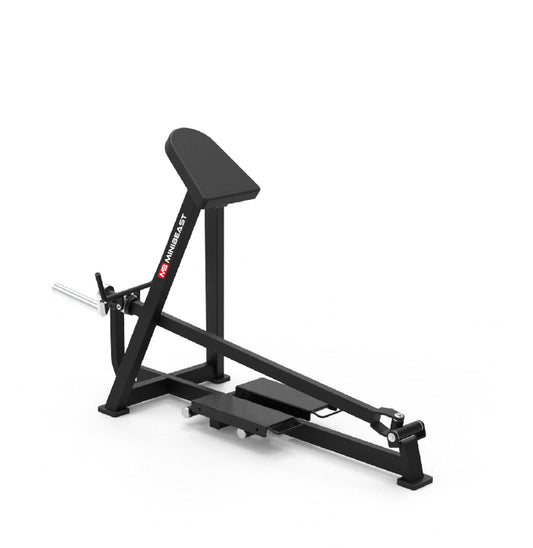 Max Series - Standing T Bar Row