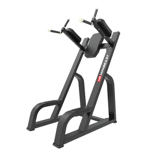 Prime Series - Dip Station