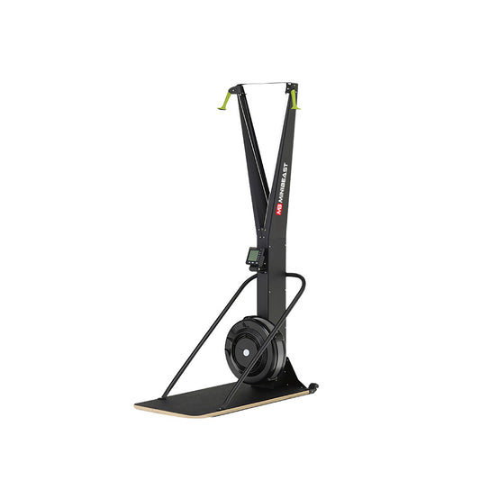 Endurance Series - Ski Machine