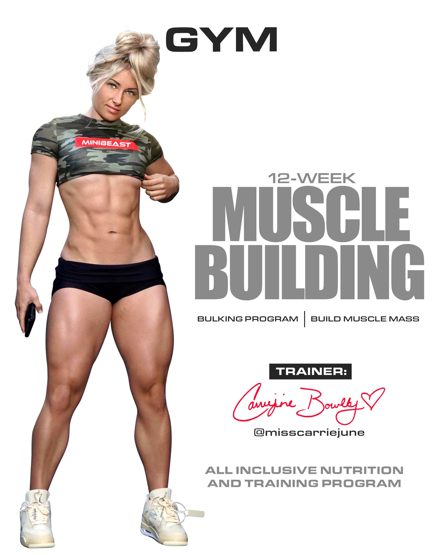 12 Week Muscle Building Program Gym