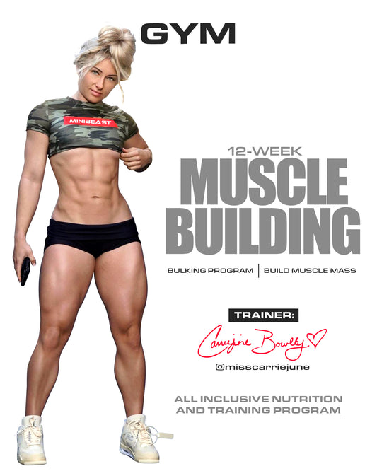 12 Week Muscle Building Program - Gym