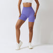 Assets V4 Shorts