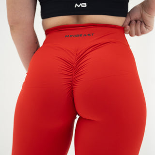 Curve Classic Leggings - Scarlett