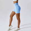 Elevate Shorts