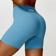 Revolve Shorts