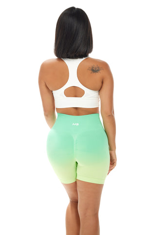 Assets Elite Shorts - Ombre Meadow
