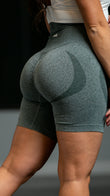 Assets V3 Shorts